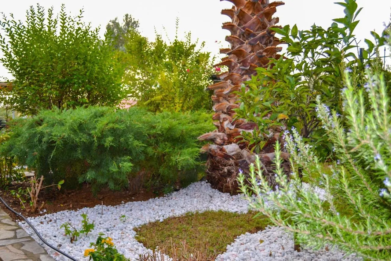 Nikos Stone House 80M From The Beach With Wifi Gerakini